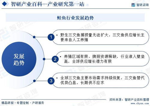 中國鮭魚行業發展現狀、產業全景概覽及投資方向分析